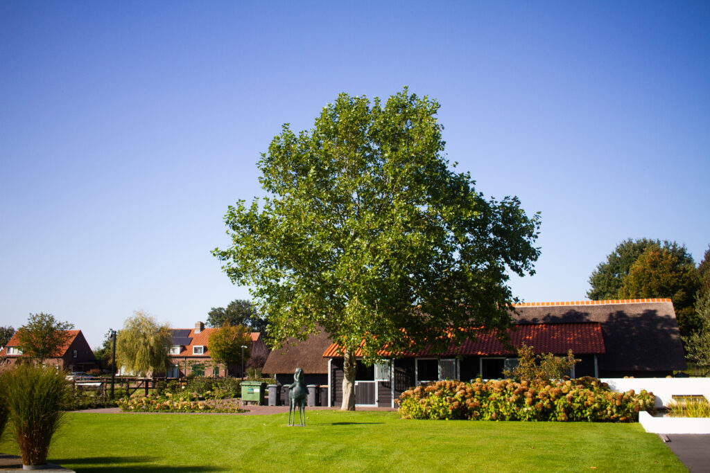 Aanplant diverse grote bomen in privétuin