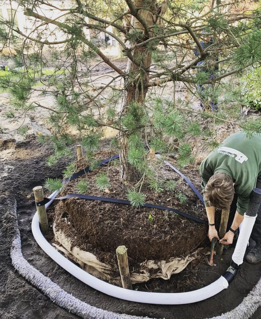 Aanplant diverse grote bomen in privétuin